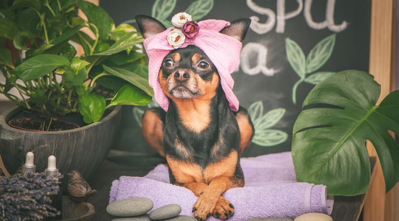 Dit zijn de 6 mooiste spa&rsquo;s van Nederland