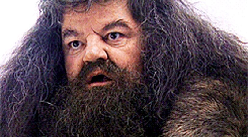 Zo ziet Hagrid uit Harry Potter er in het echte leven uit