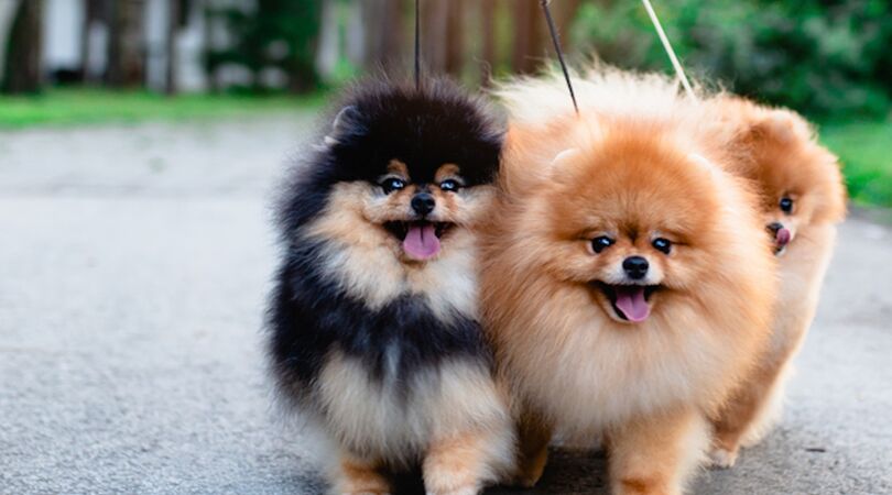 7 dingen die je kunt doen om anderen te helpen in deze tijd