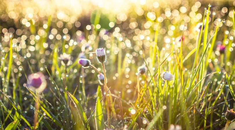 5 x de leukste dagjes uit in de lente voor jou en je bestie