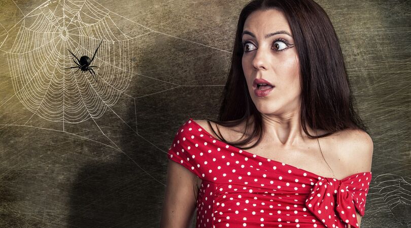 9 herkenbare momenten als je een spinnenfobie hebt