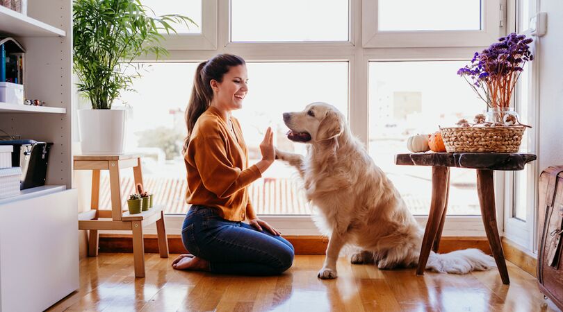 Onderzoek wijst uit: met een kinderstem tegen je hond praten is juist goed (en dus helemaal niet gek)