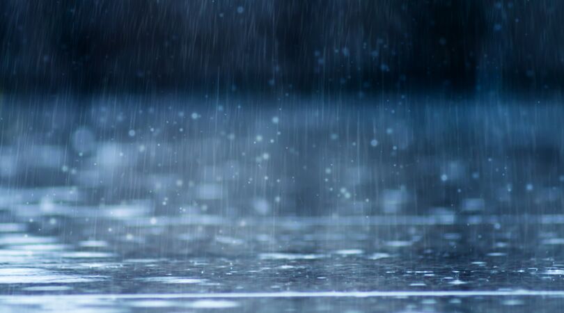 Vind jij de regen ook altijd zo lekker ruiken? Hier komt de geur vandaan