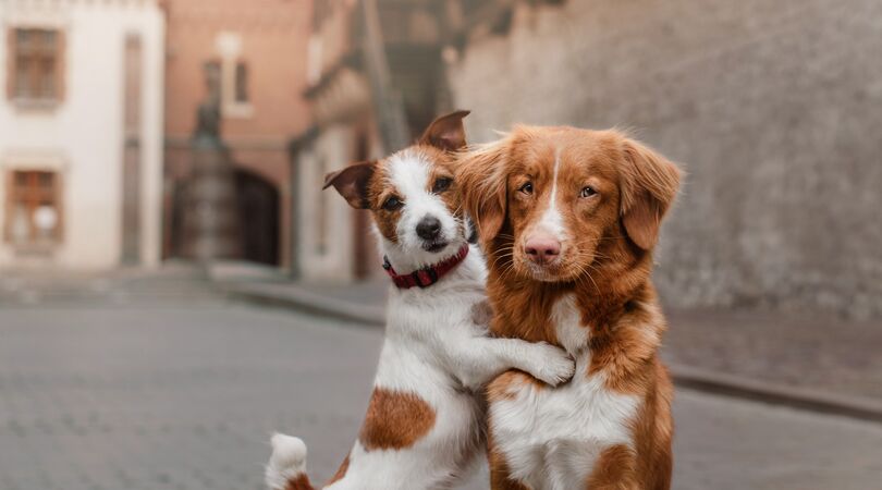 7 activiteiten die jij nu wel kan doen met je beste vriendin