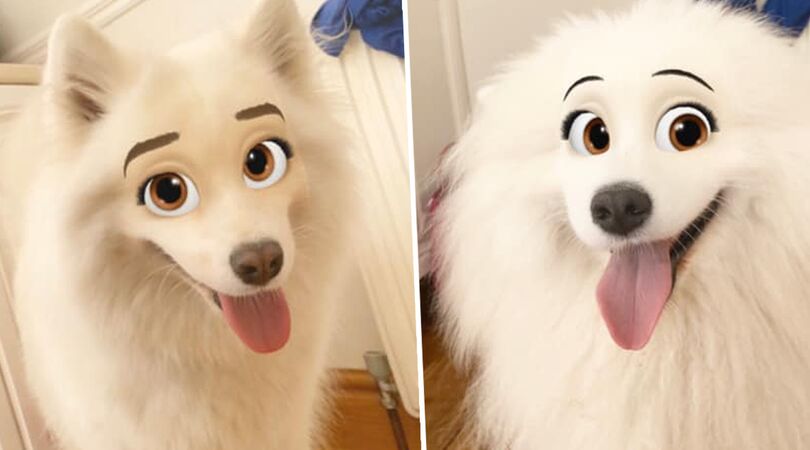CUTE! Jouw hond lijkt op een Disneyfiguur met dit Snapchat-filter