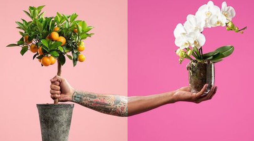 Spring maar achterop bij mij: de eerste planten-drive-thru van Nederland is geopend