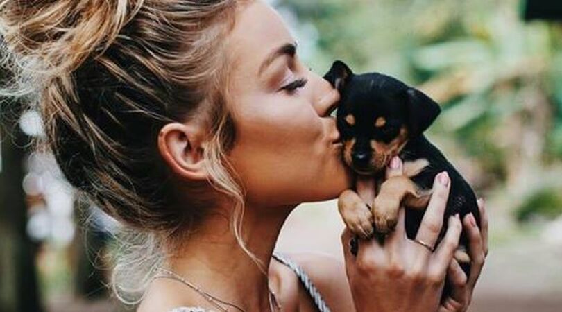 Dit herken je als je een hondenmens bent