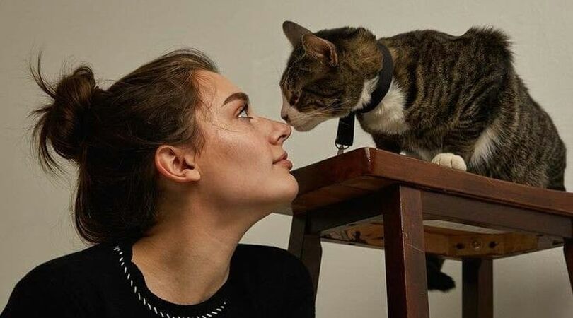 11 dingen die je alleen begrijpt als je een kattenmens bent