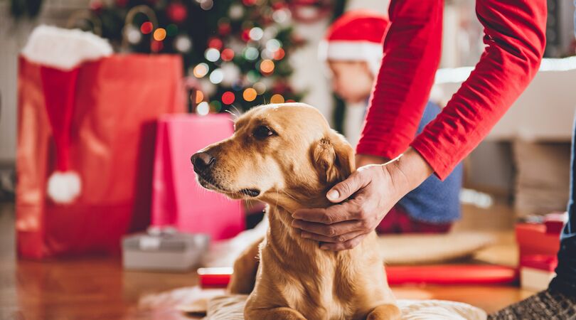 Dit zijn de leukste cadeau&rsquo;s om deze kerst aan hem te geven