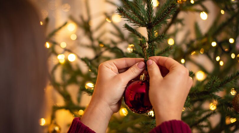 Merry christmas: dit is hoeveel ongedierte er in een echte kerstboom zit
