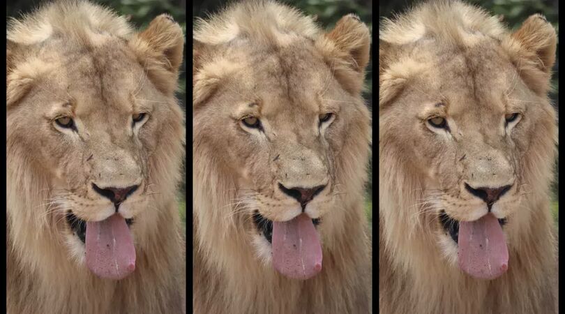 Online daten? Dit zijn 5 van de grootste ergernissen die je kunt hebben