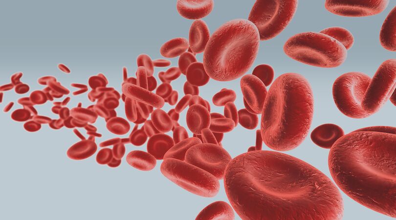 Happy 2021: dit is waarom bloeddonor worden van levensbelang is