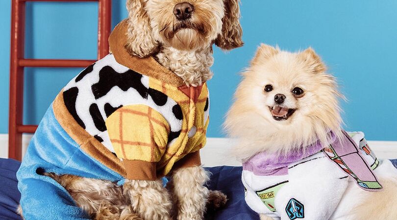 Super cute: Primark verkoopt deze Disney kostuums voor jouw hond