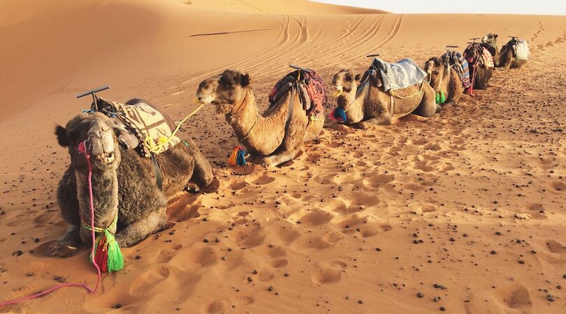 Dit zijn alle redenen om Egypte op je bucketlist te zetten