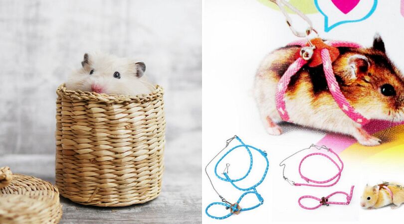 Deze AliExpress producten zijn z&oacute; raar dat je ze wil hebben