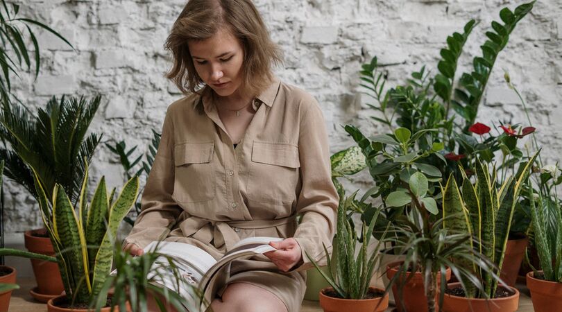 Deze goedkope planten zijn d&eacute; musthave voor op je kamer