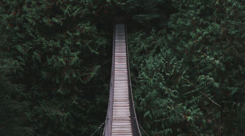 Wauw! Deze hangbrug is echt prachtig en bengelt in buurland Duitsland