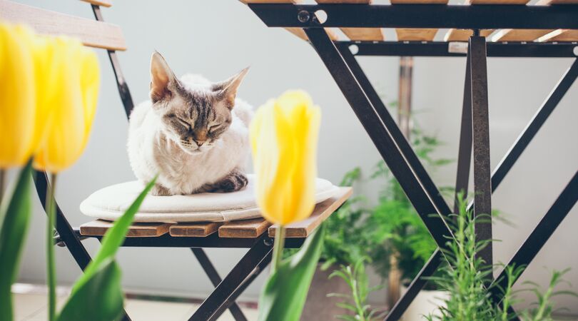 Handig: Zo maak je je balkon helemaal lenteproof