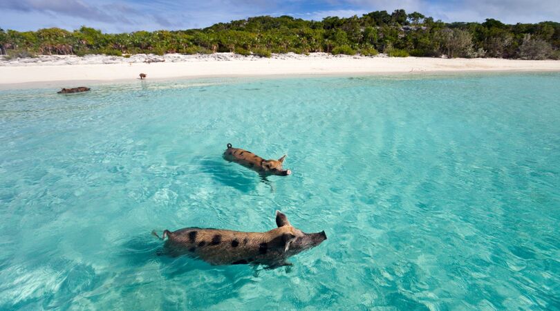 Dit zijn de 9 mooiste plekken op aarde om op je bucketlist te zetten