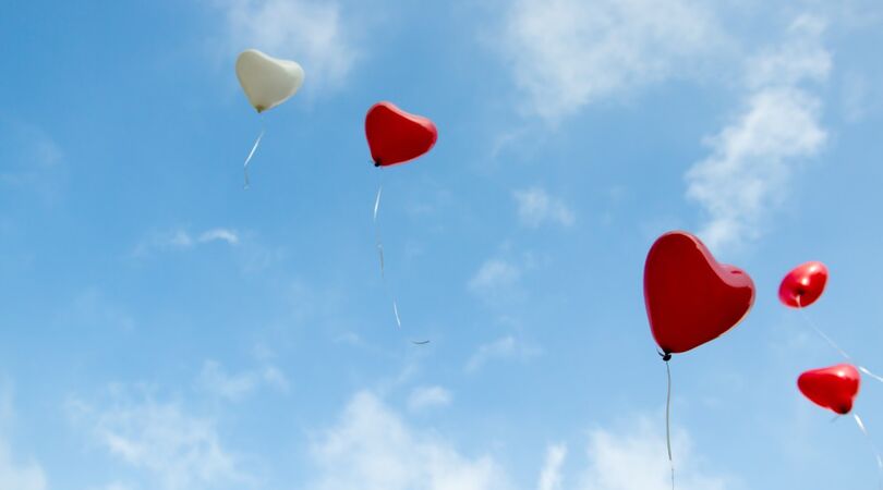 VIDEO: leukste momenten Lang Leve De Liefde #4