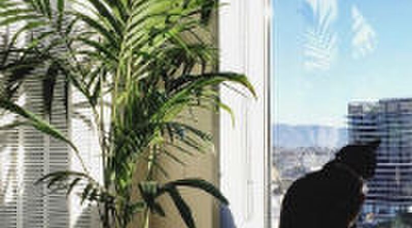 Early birds opgelet: dit doet regelmatig vroeg opstaan met je lichaam