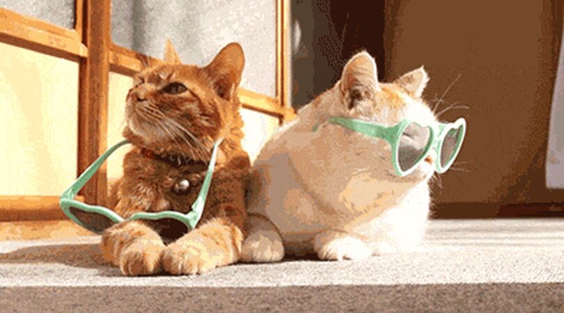 Lifehack: Met deze truc schuift je zonnebril n&oacute;&oacute;it meer van je neus