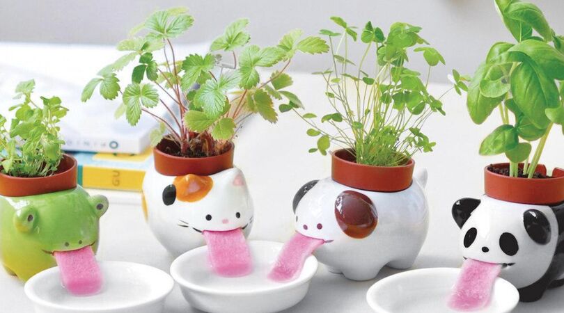 Met deze te schattige vaasjes voeden jouw planten zichzelf