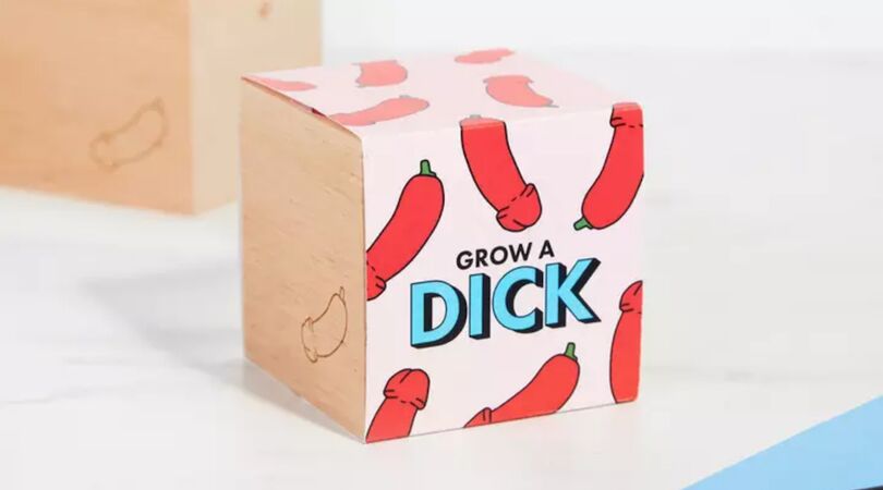 Kamerplanten zijn verleden tijd: koop hier je eigen piemelplant