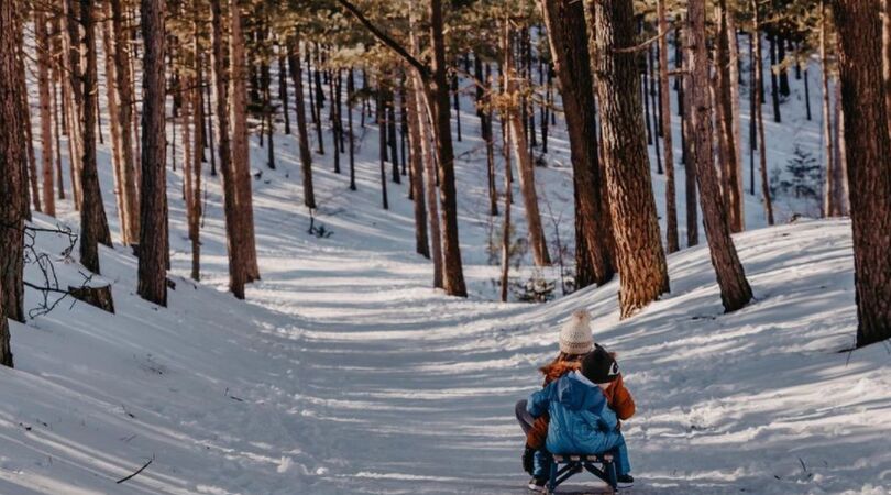 Op deze plekken kun jij (zonder sneeuw) slee&euml;n in Nederland