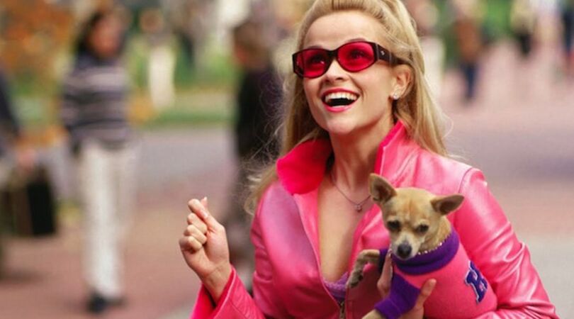 Legally Blonde 3: alles wat je moet weten