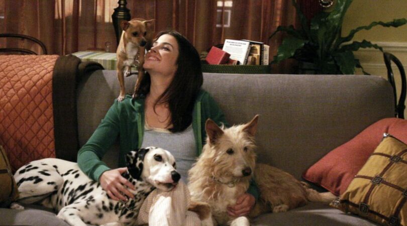 Aan deze 5 dingen merk je dat je beter een hond dan een partner kan nemen