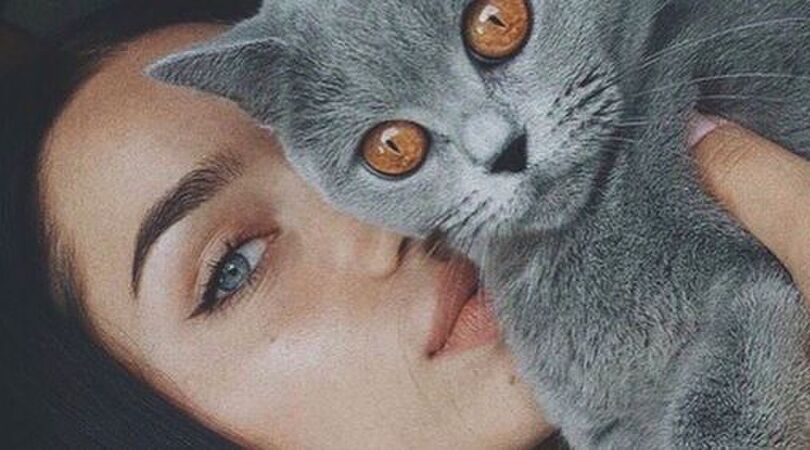 Voor alle catladies: 9 tekenen dat jouw kat (te) verwend is