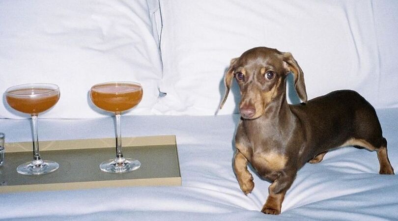 herkenbaar niet drinken