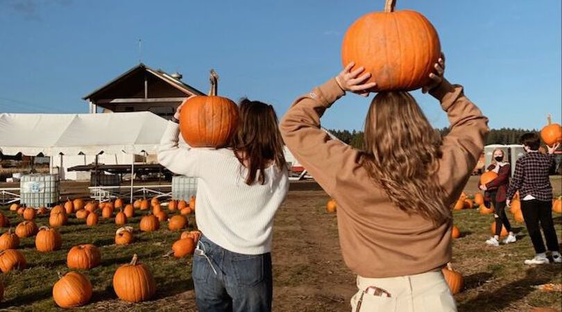 sterrenbeeld-herfstactiviteit