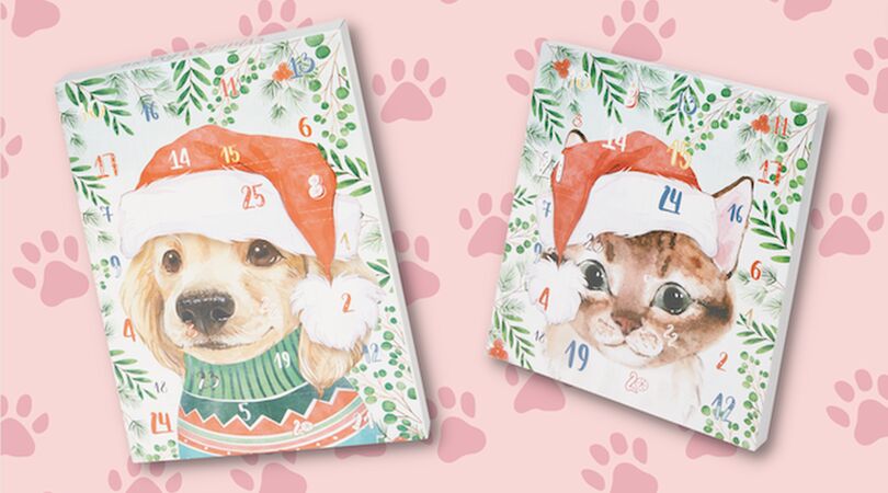 honden-katten-adventskalender-action