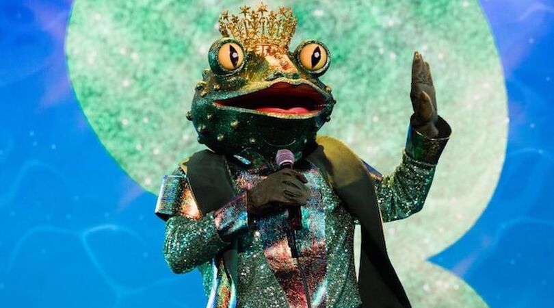 de-kikker-the-masked-singer