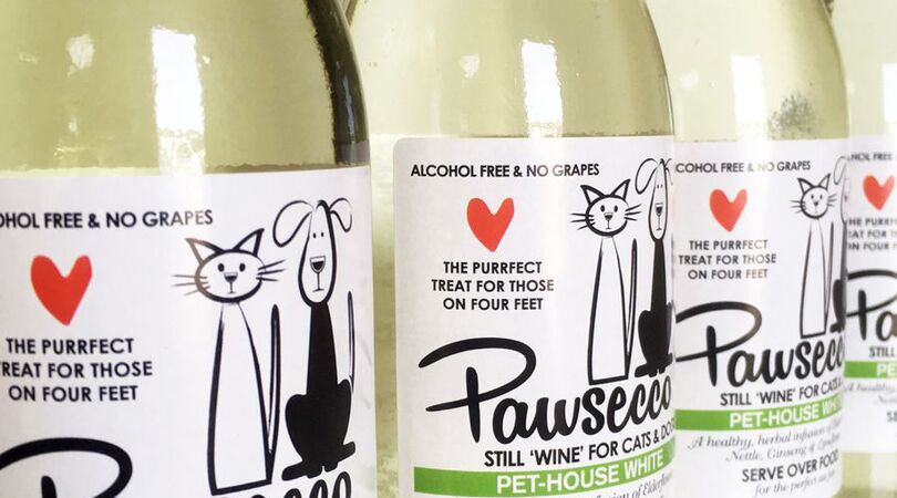 wijn-drinken-met-kat