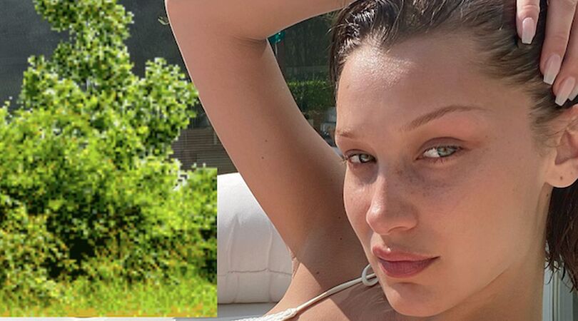 kaaklijn-bella-hadid