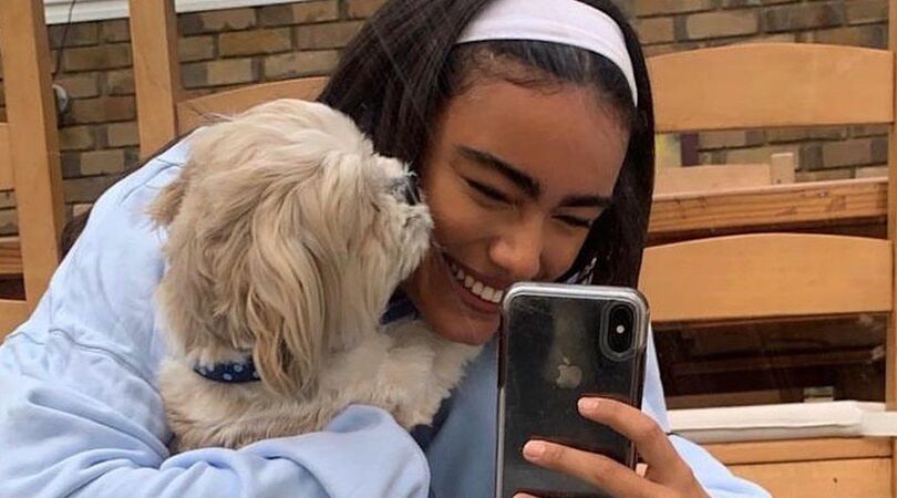 sterrenbeelden-hondenmensen