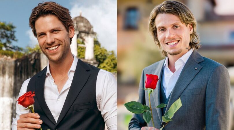 the bachelor senioren