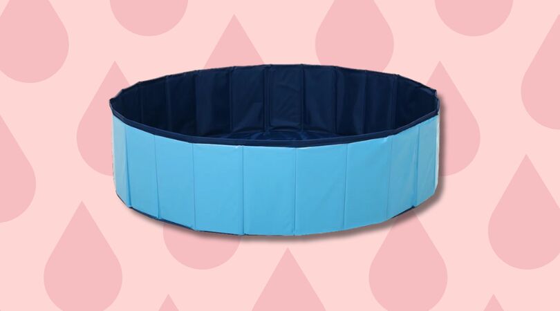 action hondenzwembad