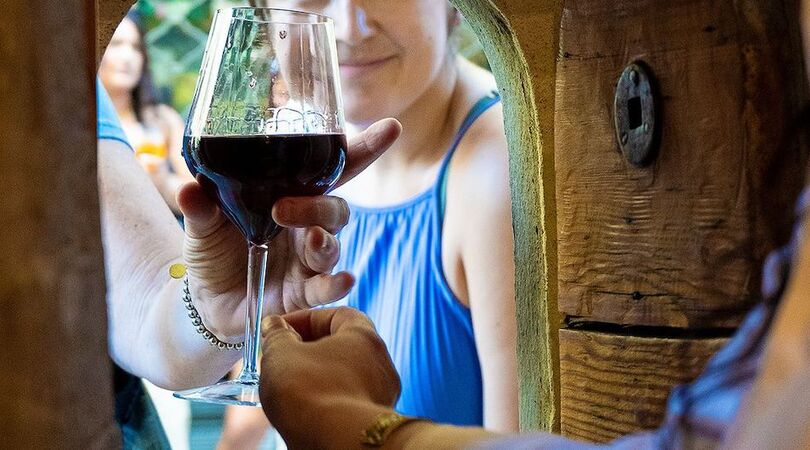 florence-wijn-uit-muur