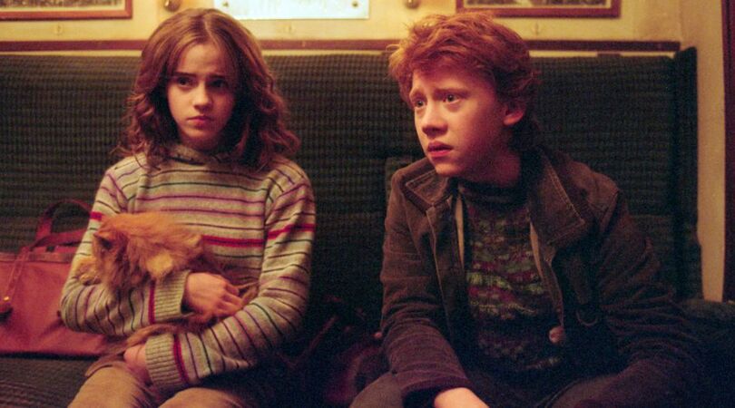 populaire-kattennamen-2023