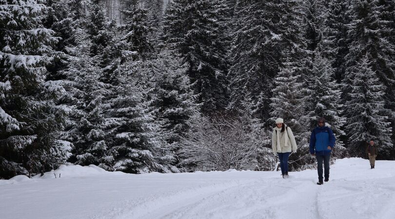 winter-vol-liefde-reunie-aflevering