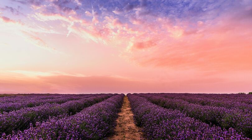 Weer- Koningsdag- 2024