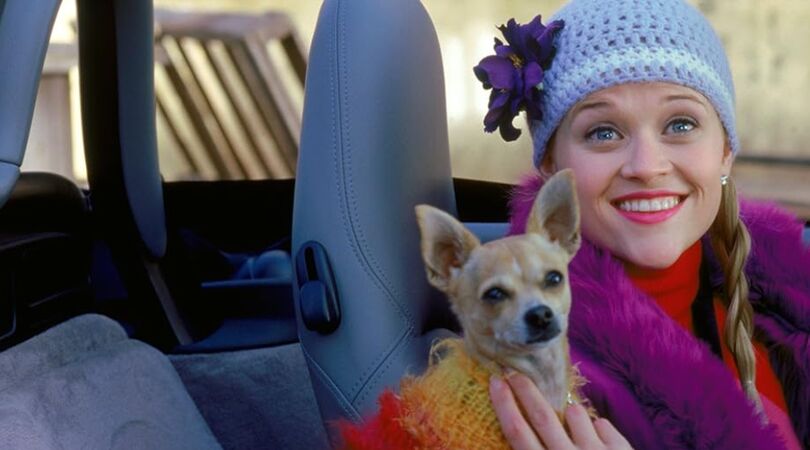 Spin-off-serie-Legally-Blonde