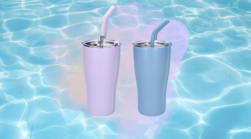 stanley-cup-dupe-wibra