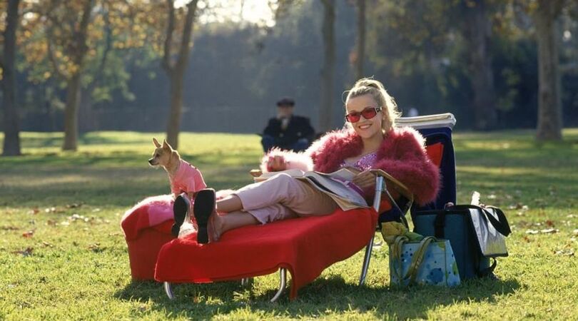 sterrenbeelden-worden-wereld-leiders