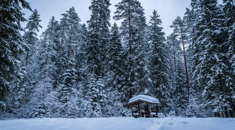 winter-vol-liefde-kandidaten