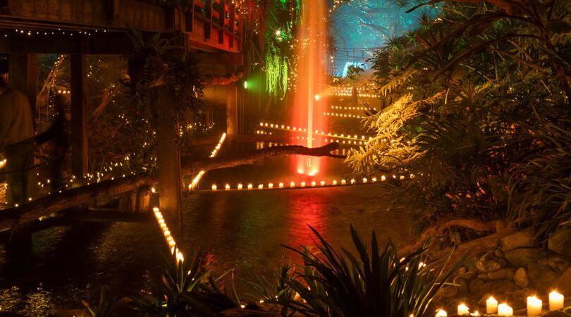 pantropica kerstdate